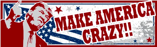 Make America Crazy!! anti Trump bumper sticker